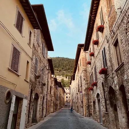 Palazzo Elisei غوبيو